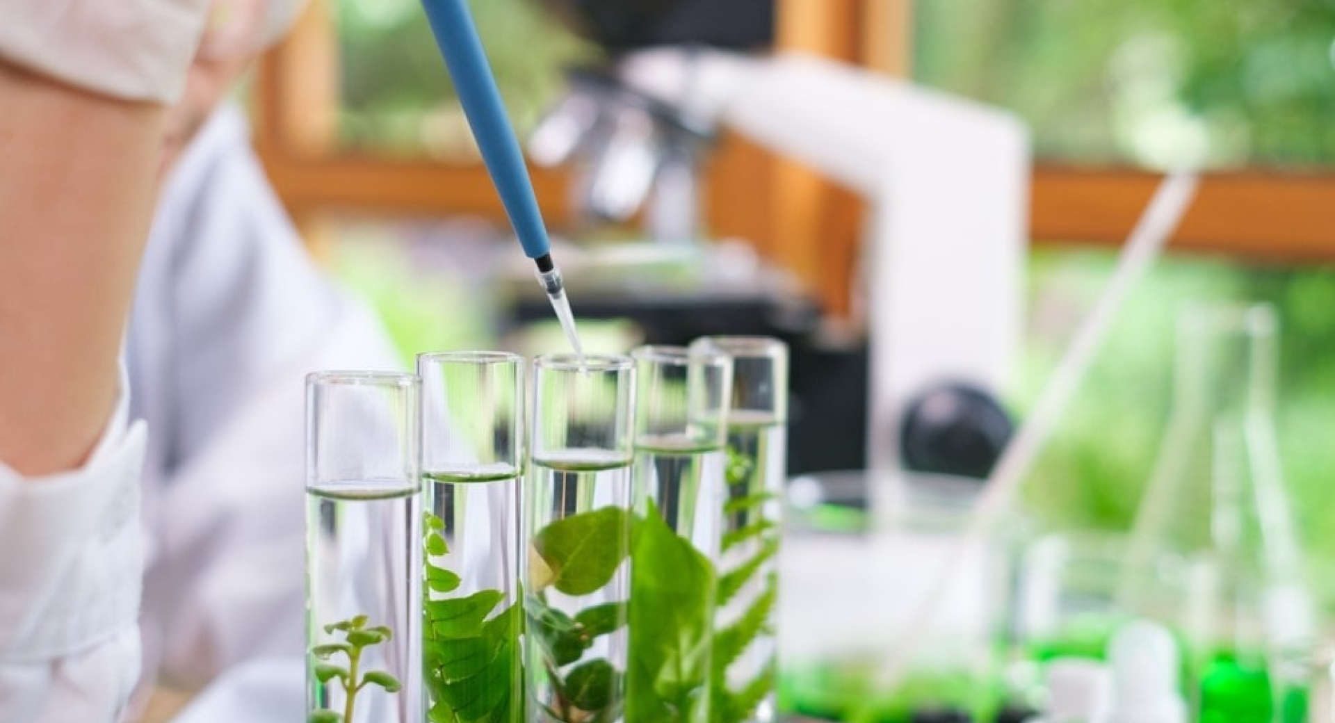 Why Toronto Biotech Businesses Need Customized Insurance 