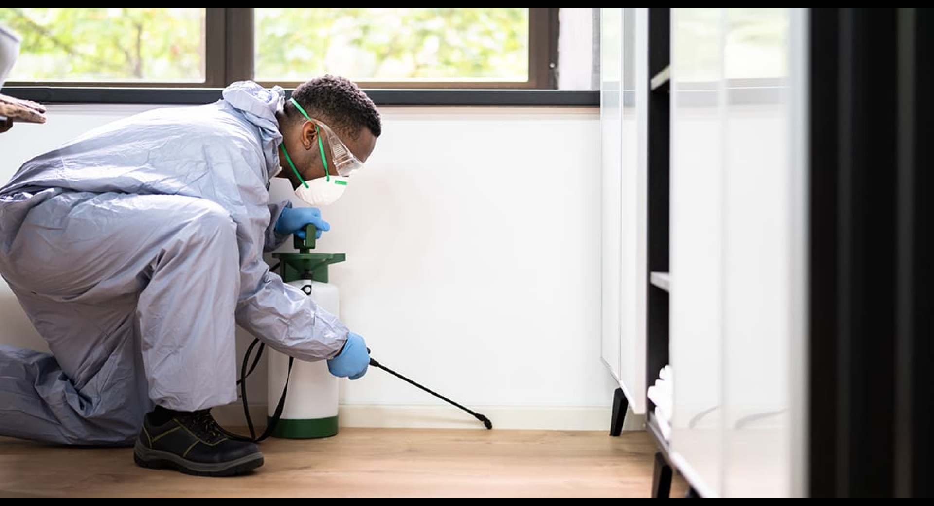 What Insurance Do Toronto Pest Control Businesses Need?